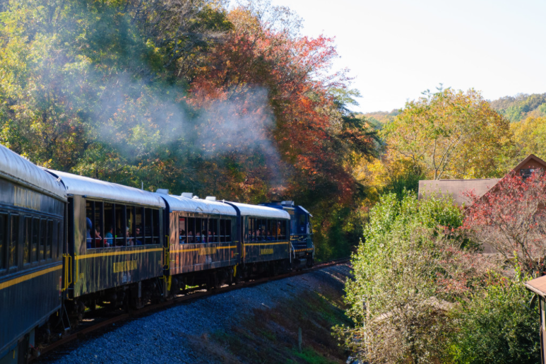 Blue Ridge Scenic Railway