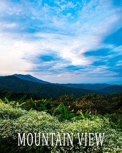 Mountain view property category